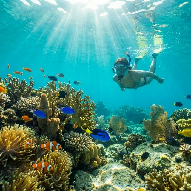 Snorkeling in Musandam