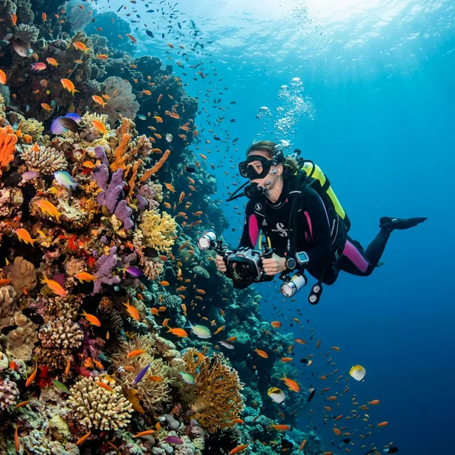 Scuba Diver on Musandam Coral Reef